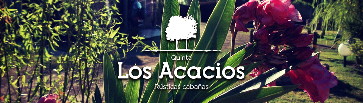 Bienvenidos
